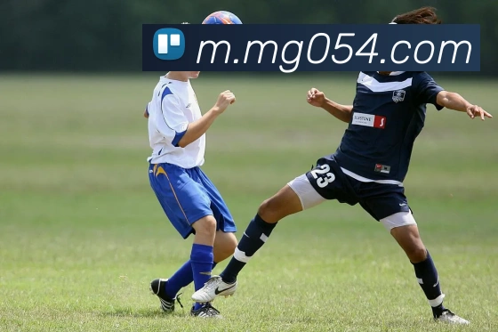 MG冰球突破平台生态图